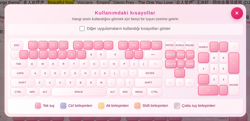 Kullanımdaki kısayollar klavyesi