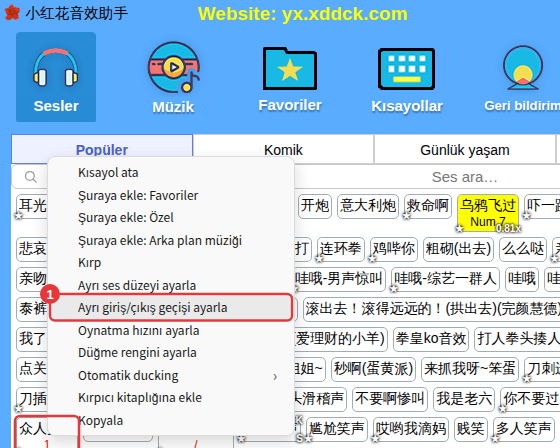 Bir sese sağ tıklayın → Ayrı giriş/çıkış geçişi ayarla